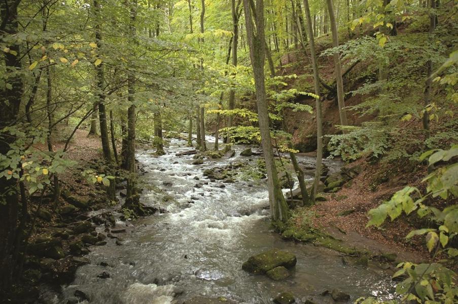 Fewo Hof Elbbachtal Вестербург Экстерьер фото